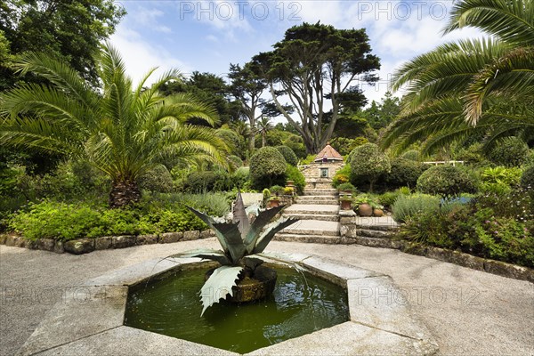 Mediterranean Garden with Fountain