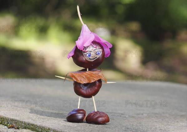 Funny chestnut figure with blossom on head