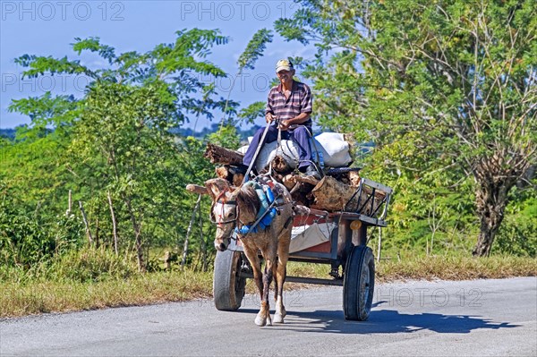 Cuban man on cart