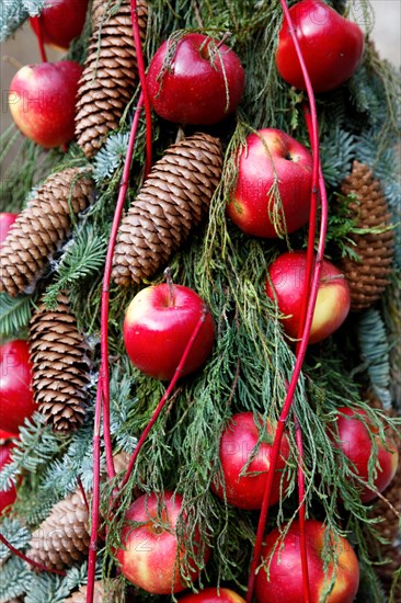 Christmas apples and pine cones on a Christmas tree