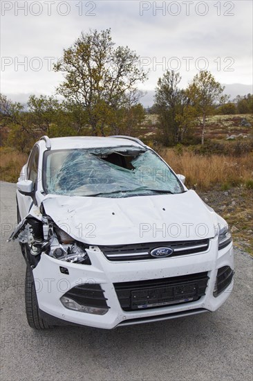 Wrecked car after collision with moose