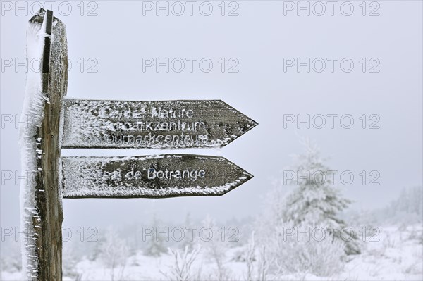 Frozen signpost in the nature reserve High Fens