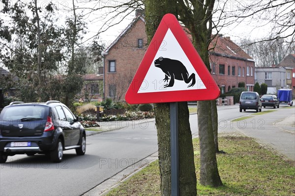 Warning sign for migrating amphibians