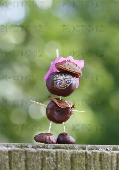 Funny chestnut figure with blossom on head