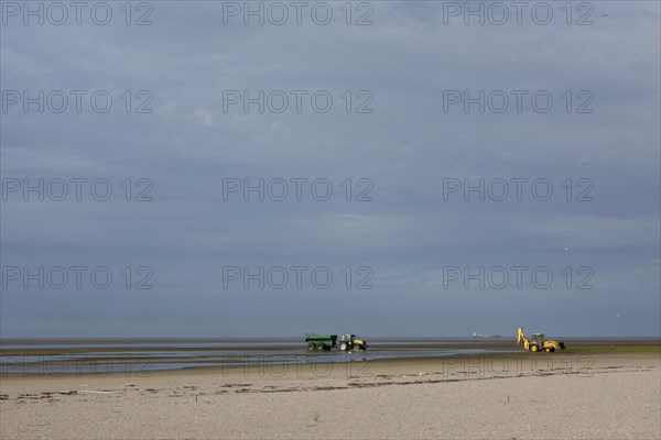 Construction measures on the uninhabited island of Minsener Oog in zone 1 in the Lower Saxony Wadden Sea National Park