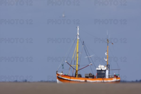 Crab cutter seems to be sailing in the sand