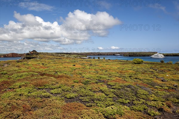 Isla Santa Cruz