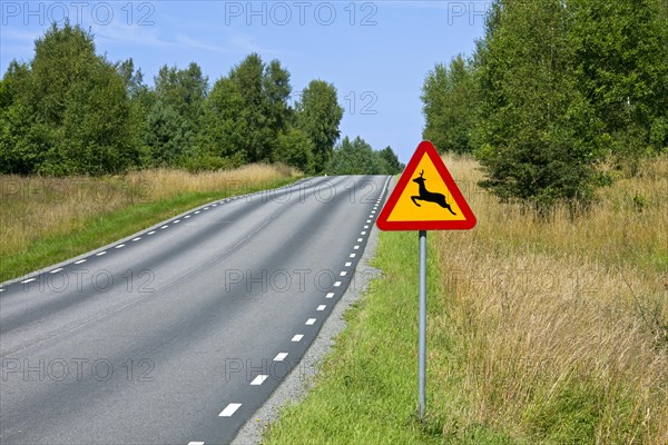 Warning sign for deer crossing the road