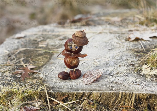 Funny chestnut figure in winter