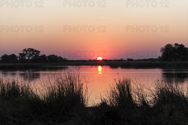 Sunset in the Okavango Delta