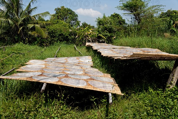 Rice paper making