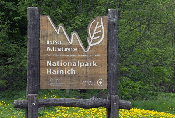 Entrance sign of the Hainich National Park