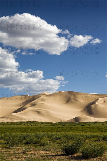 Hongor Dunes