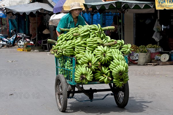 Cycle rickshaw with a load of bananas
