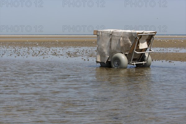 Mobile camouflage hideout of a nature photographer