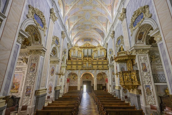 View of the organ