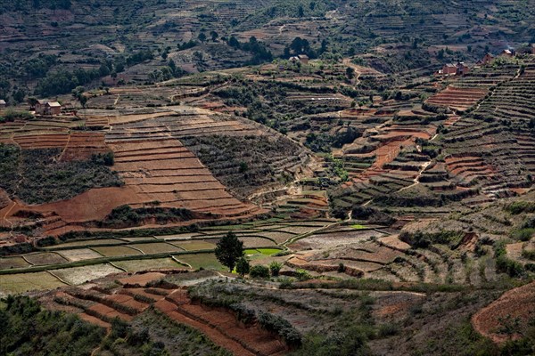 Terraces near Fianarantsoa