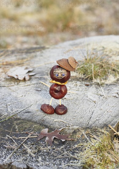 Funny chestnut figure in winter