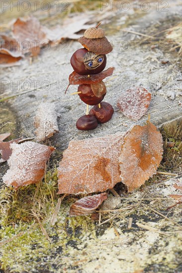 Funny chestnut figure in winter