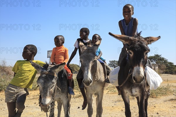 Bushman children