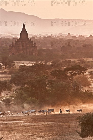 Bagan in the haze