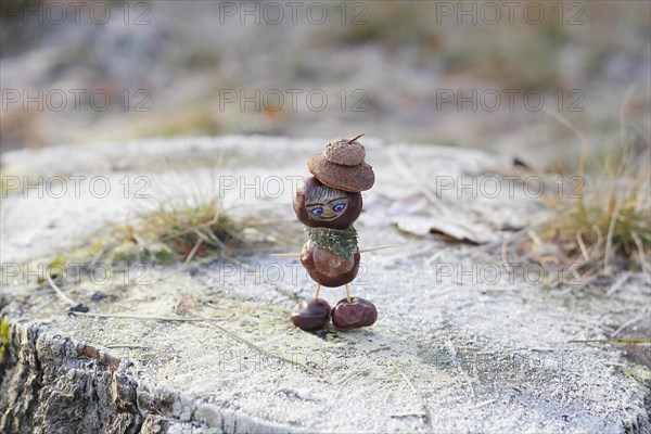 Funny chestnut figure in winter