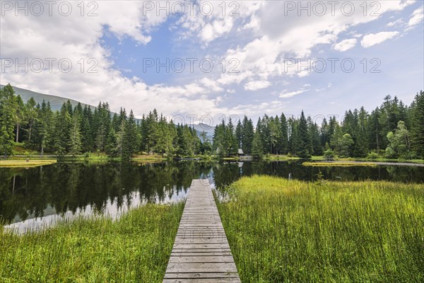 Steg am Schattensee