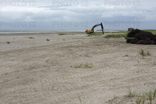 Construction measures on the uninhabited island of Minsener Oog in zone 1 in the Lower Saxony Wadden Sea National Park