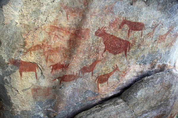 Rock paintings