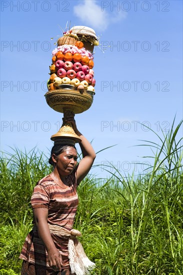 Woman carrying fruit on her head