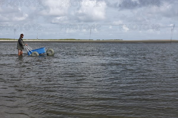 Crossing the tideway off the island of Minsener Oog