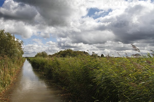 Elevated water level on the Weser island Strohauser Plate