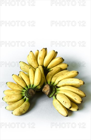 Bananas