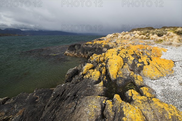 Beagle Channel