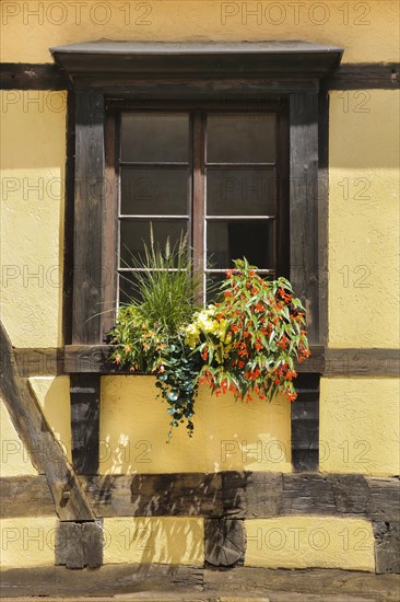 Window on the Kapff Building