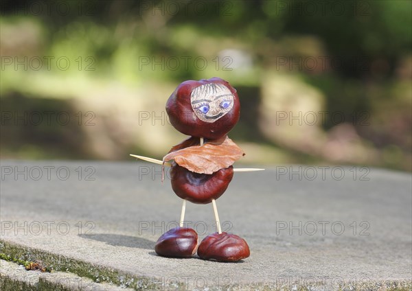 Funny chestnut figure