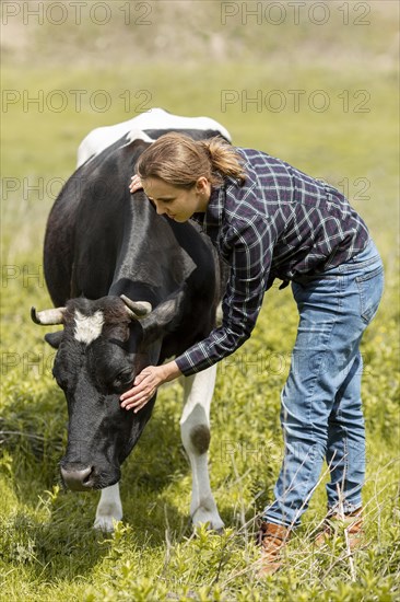 Woman with cow farm