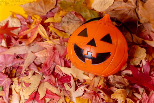 Photo of a Halloween pumpkin on a background of red autumn leaves