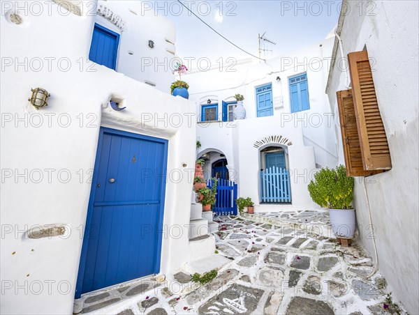 White Cycladic houses with blue doors and windows and flower pots