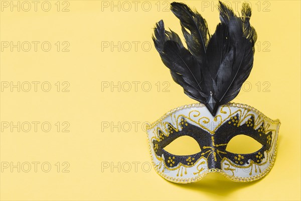 Carnival mask with feathers