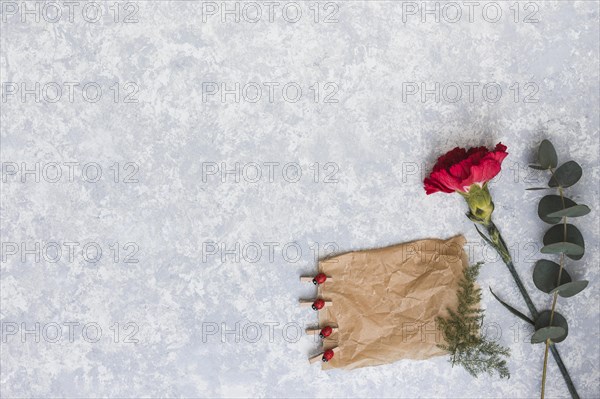 Carnation flower with blank paper table