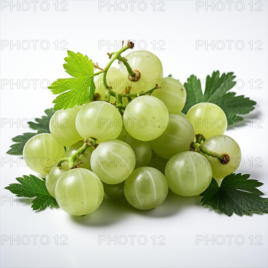 Gooseberries