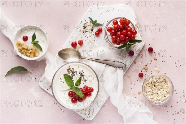 Cranberries yogurt bio food lifestyle concept