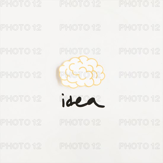 Elevated view brain with idea word white background