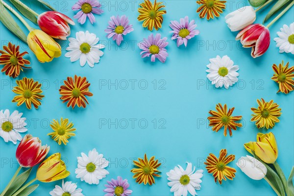 Blooming tender flowers blue