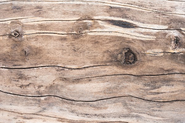 Wooden texture background with