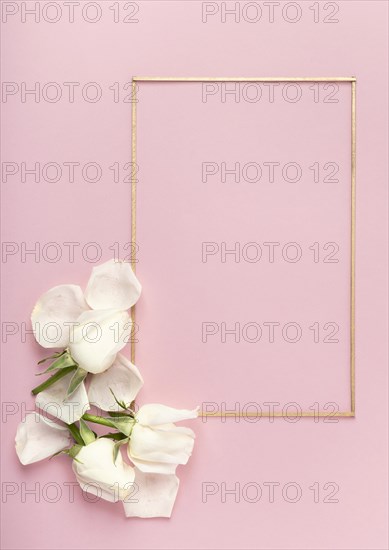 Cute minimalist frame white rose petals