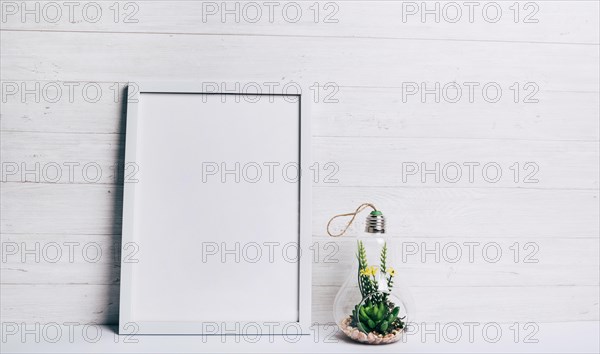 Miniature succulent plant inside glass hang lamp near white frame against wooden wall