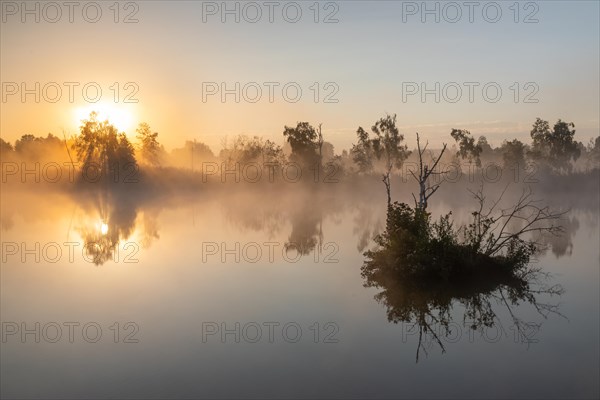 Bog lake