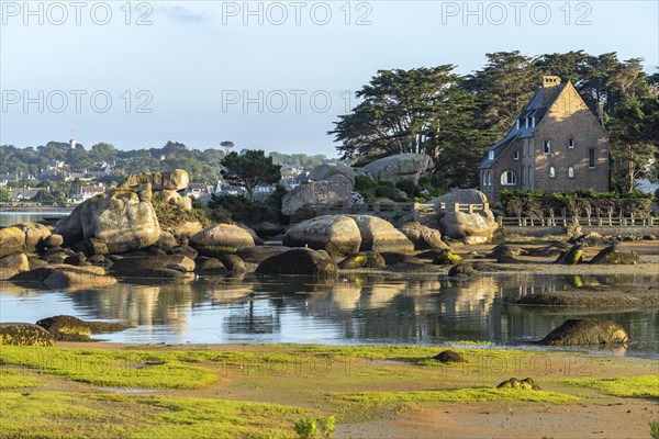 The rocks of the pink granite coast Cote de Granit Rose at the Baie de Sainte Anne near the peninsula Ile Renote